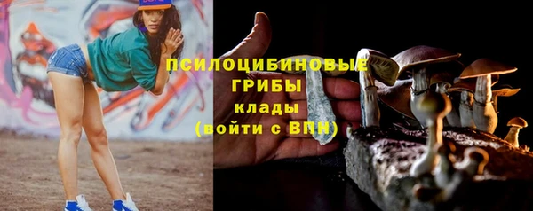 ECSTASY Горно-Алтайск