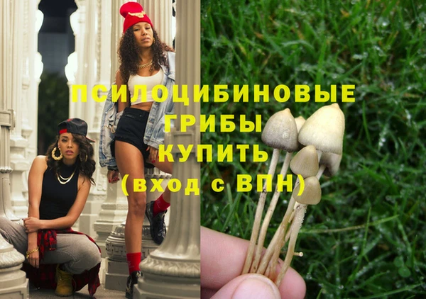 ECSTASY Горно-Алтайск