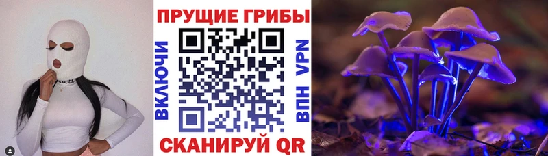 наркотики  Онега  Галлюциногенные грибы GOLDEN TEACHER 