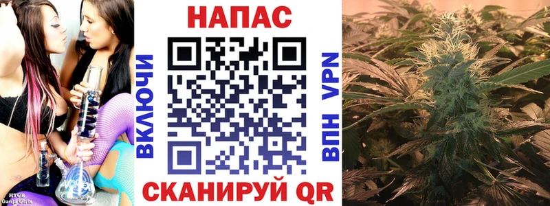 где найти наркотики Онега Каннабис план